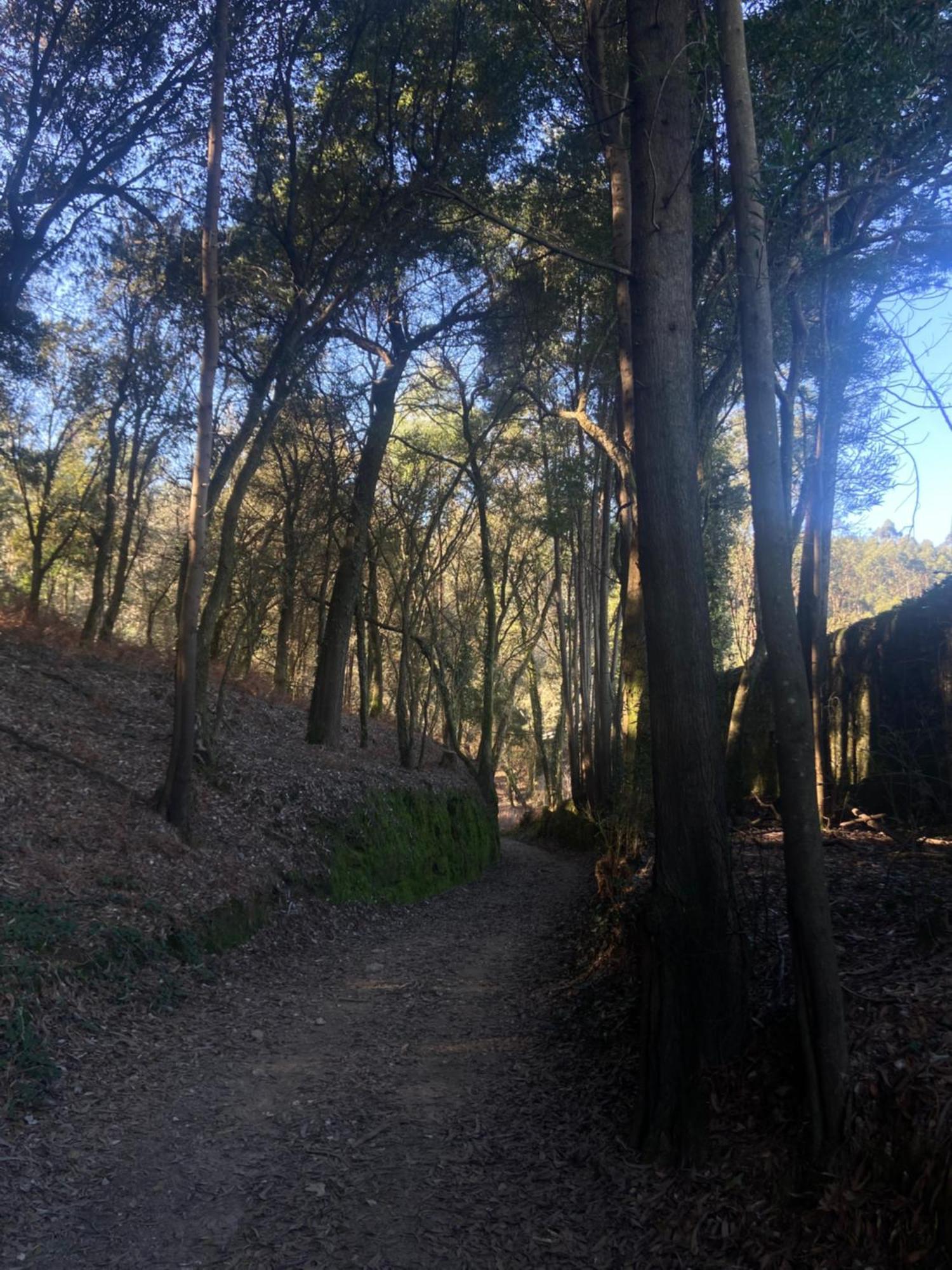 Вилла Quinta Do Senhor Брага Экстерьер фото