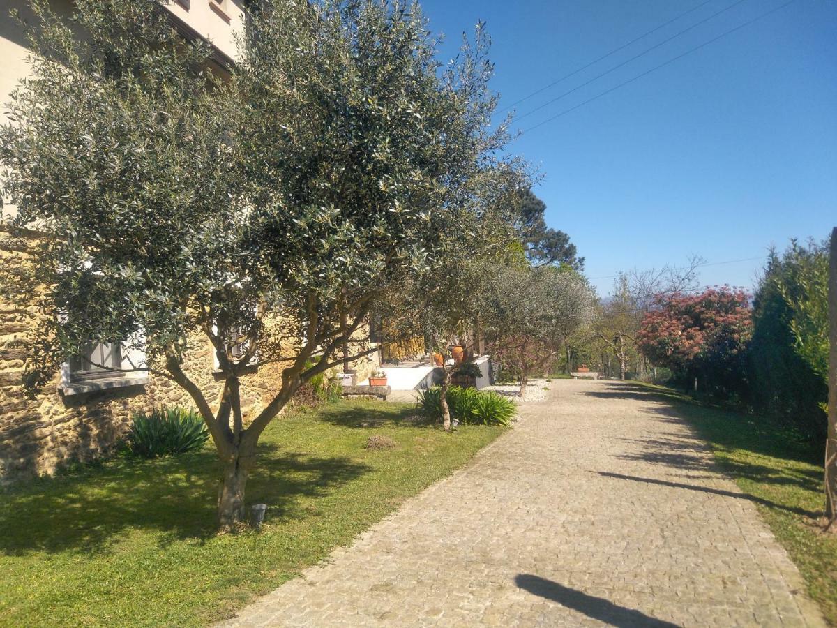 Вилла Quinta Do Senhor Брага Экстерьер фото
